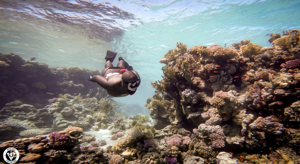 Mastering the Art of Breath Hold: Essential Tips for Beginner Freedivers