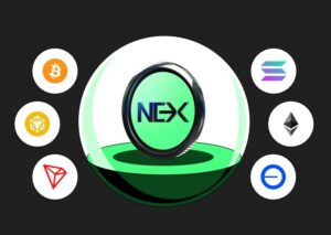 Why Crypto Presales Are the Best Entry Point for New Investors in 2025